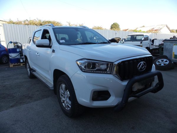 2019 LDV T60 Ute